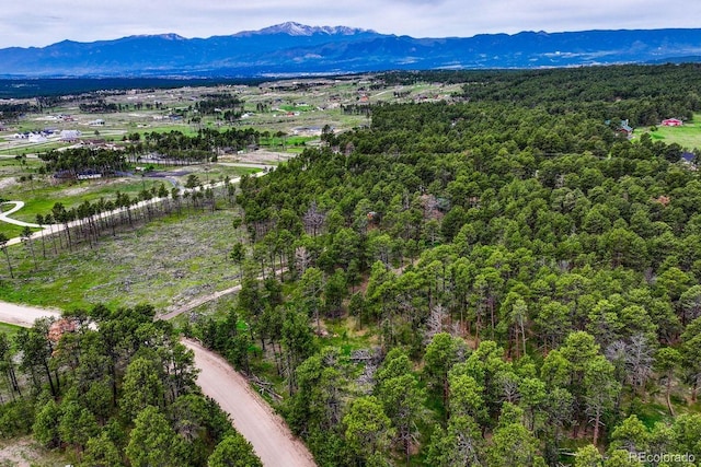 000 Wyandott Dr, Colorado Springs, CO 80908 - photo 11