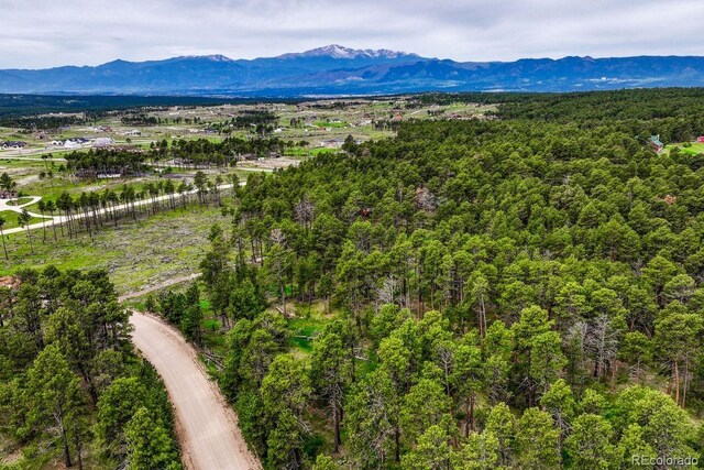 000 Wyandott Dr, Colorado Springs, CO 80908 - photo 12