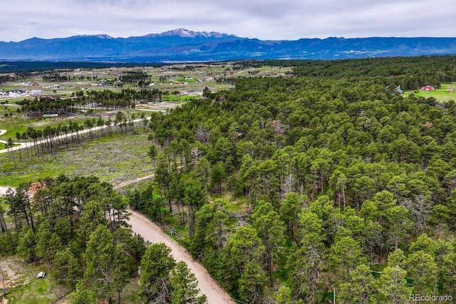 000 Wyandott Dr, Colorado Springs, CO 80908 - photo 21