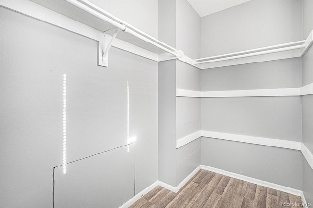 spacious closet with wood-type flooring