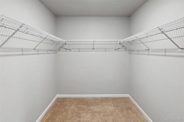 2145 Alyssa St, Fort Lupton, CO 80621 - spacious closet with carpet floors
