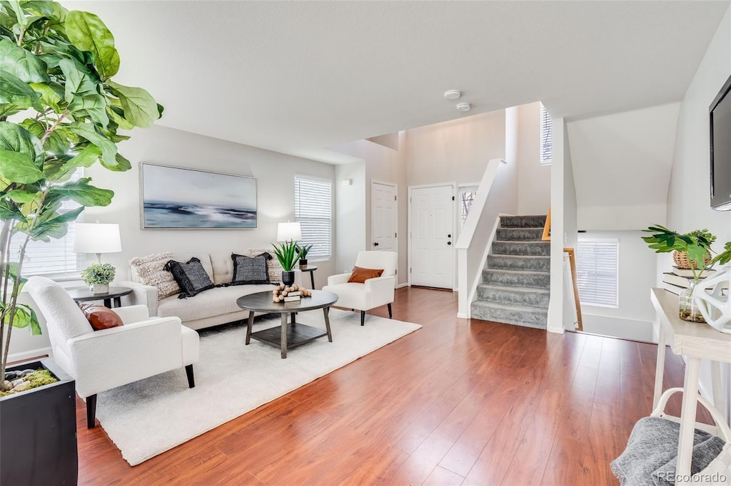 living room with dark hardwood / wood-style flooring and a healthy amount of sunlight