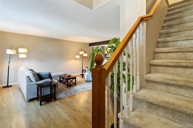 3390 W 98th Pl Unit B, Westminster, CO 80031 - photo 11