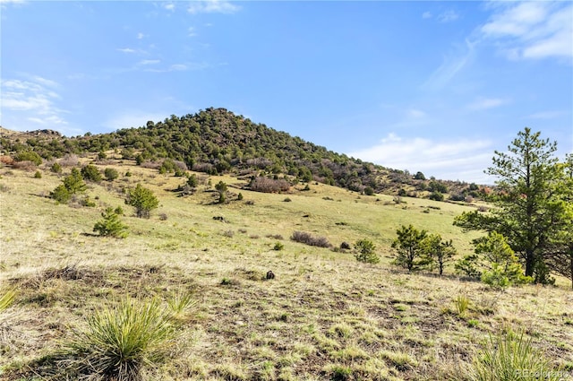 379 S Tallahassee Trl, Canon City, CO 81212 - photo 8
