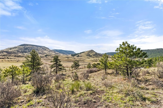 379 S Tallahassee Trl, Canon City, CO 81212 - photo 9
