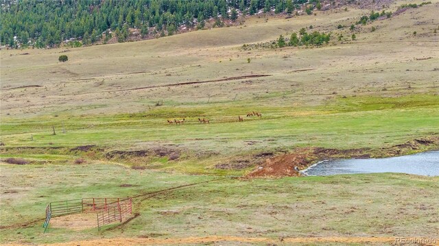 379 S Tallahassee Trl, Canon City, CO 81212 - photo 12
