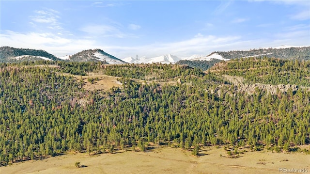 379 S Tallahassee Trl, Canon City, CO 81212 - photo 16