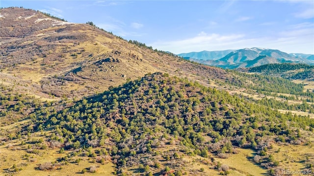 379 S Tallahassee Trl, Canon City, CO 81212 - photo 17