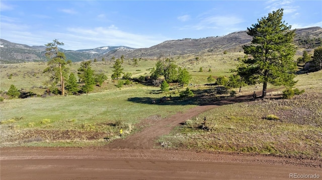379 S Tallahassee Trl, Canon City, CO 81212 - photo 37