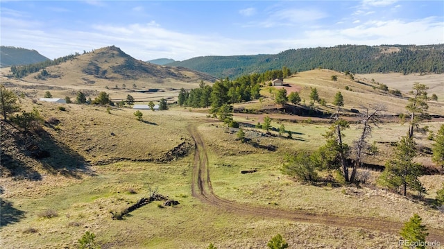 379 S Tallahassee Trl, Canon City, CO 81212 - photo 38