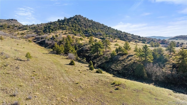 379 S Tallahassee Trl, Canon City, CO 81212 - photo 39