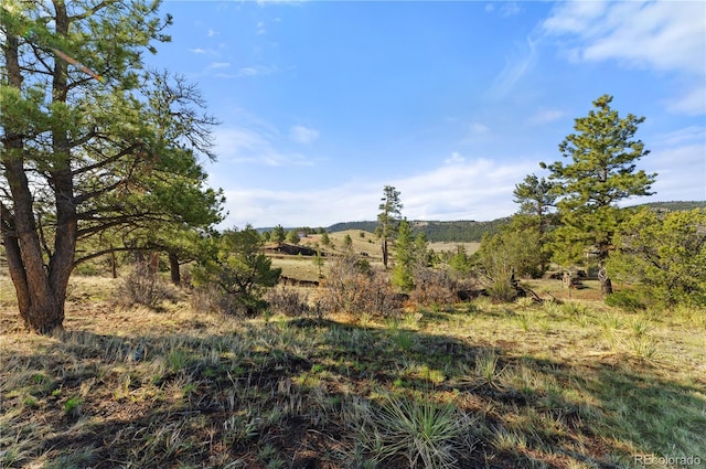 379 S Tallahassee Trl, Canon City, CO 81212 - photo 42