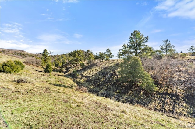 379 S Tallahassee Trl, Canon City, CO 81212 - photo 44