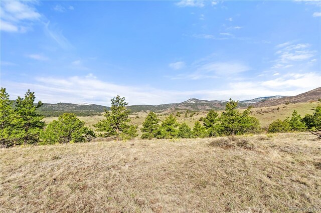 379 S Tallahassee Trl, Canon City, CO 81212 - photo 46