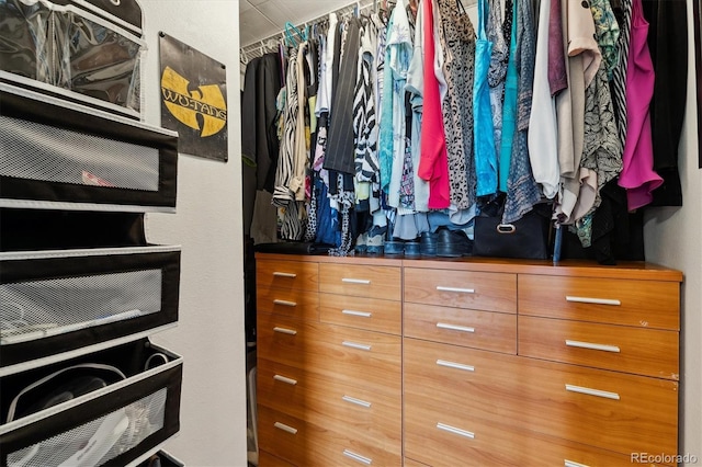 1301 Speer Blvd Unit 1108, Denver, CO 80204 - view of walk in closet