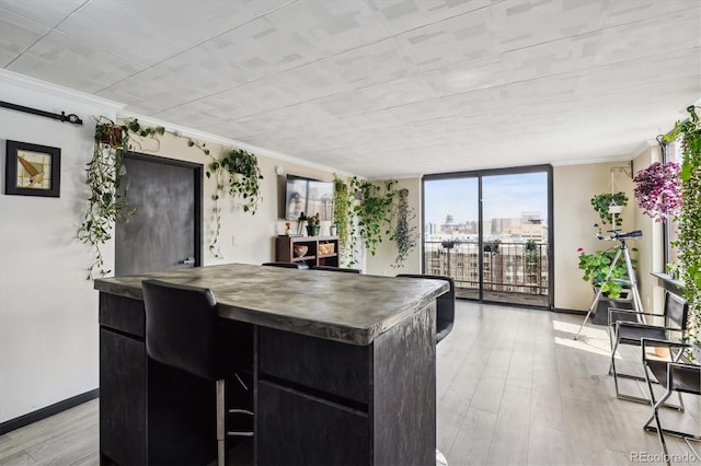 1301 Speer Blvd Unit 1108, Denver, CO 80204 - kitchen with dark cabinetry, crown molding, light wood-style floors, and baseboards