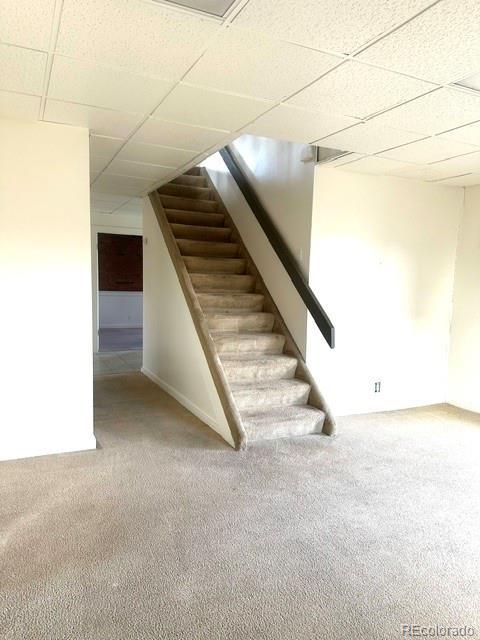 basement featuring carpet flooring and a paneled ceiling