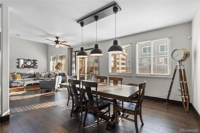 dining room with a wealth of natural light, dark hardwood / wood-style flooring, and a textured ceiling