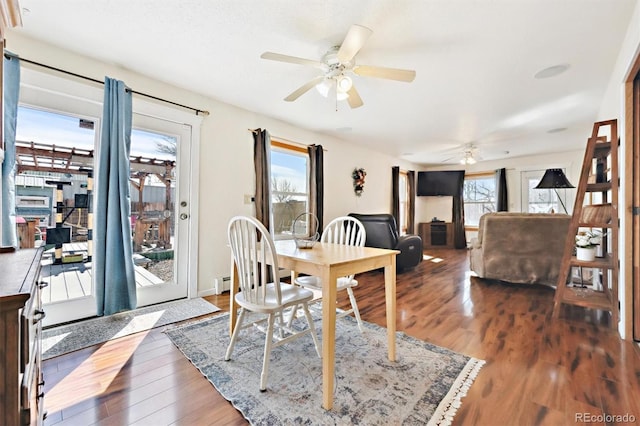 dining room with baseboard heating, wood finished floors, a wealth of natural light, and ceiling fan