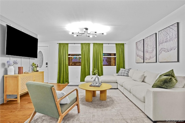 living room featuring wood-type flooring