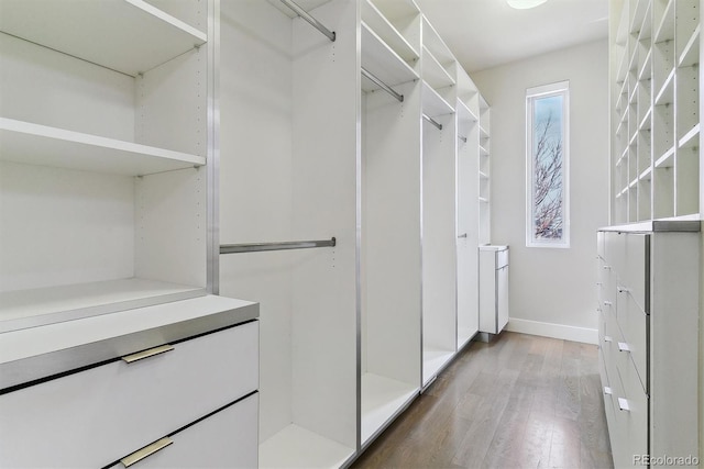 walk in closet featuring dark wood-type flooring