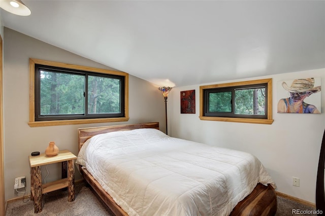 bedroom with carpet and lofted ceiling