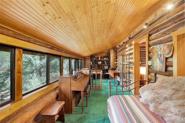 interior space featuring wood ceiling and lofted ceiling