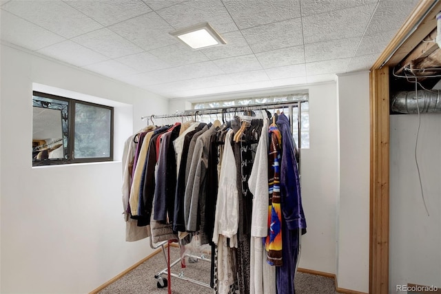 spacious closet featuring carpet flooring