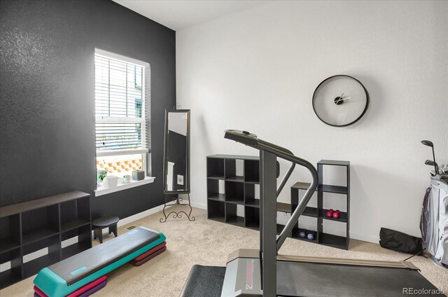 3419 Traver Dr, Broomfield, CO 80023 - workout room featuring baseboards and carpet floors