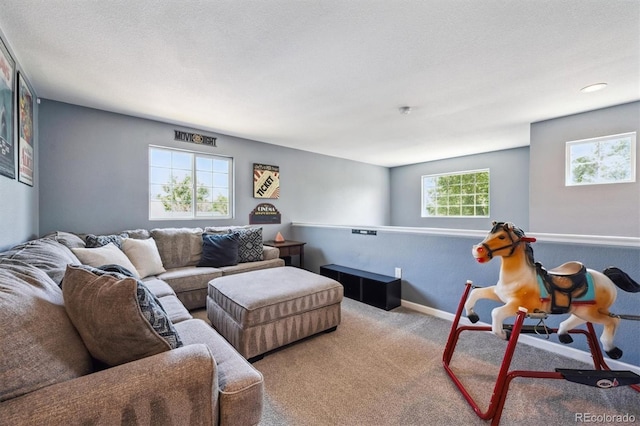 5229 Nighthawk Pkwy, Brighton, CO 80601 - carpeted living area with baseboards