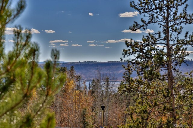 146 County Road 6524, Grand Lake, CO 80447 - photo 34