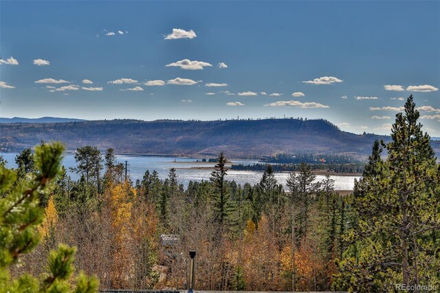 146 County Road 6524, Grand Lake, CO 80447 - photo 35
