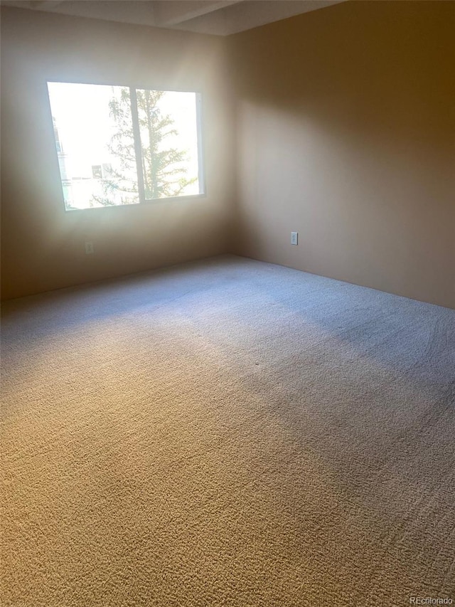 7865 E Mississippi Ave Unit 304, Denver, CO 80247 - photo 19