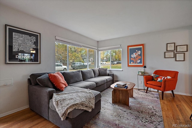 living room with hardwood / wood-style flooring