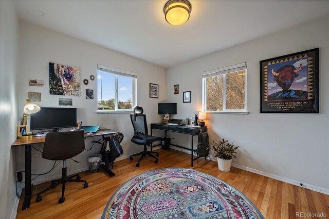 office space featuring hardwood / wood-style flooring