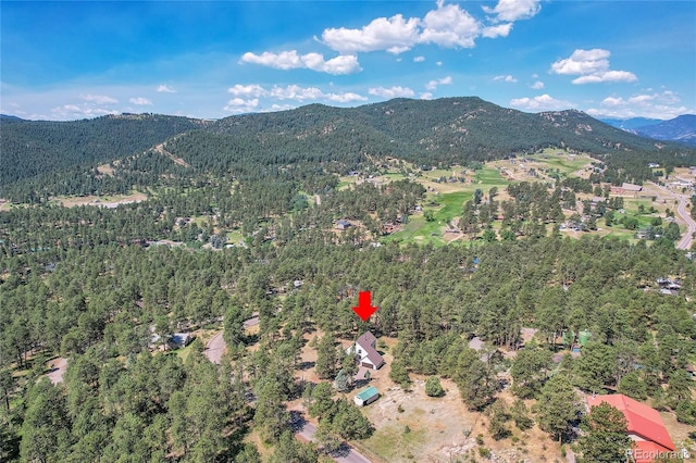 4483 Nambe Rd, Indian Hills, CO 80454 - photo 21