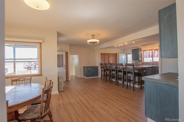 dining room with wood-type flooring