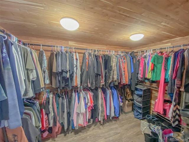 spacious closet featuring wood-type flooring