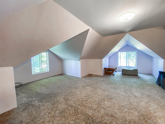 bonus room with carpet and vaulted ceiling