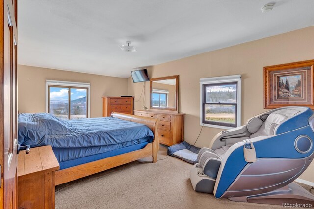 37 Warm Springs Rd, Fairplay, CO 80440 - photo 19