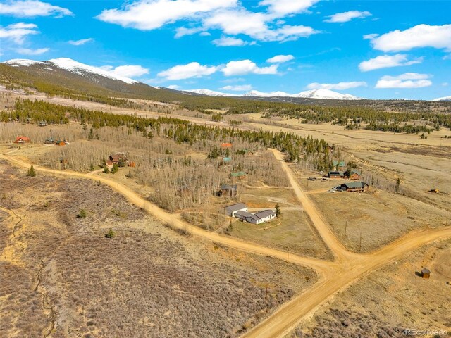 37 Warm Springs Rd, Fairplay, CO 80440 - photo 43