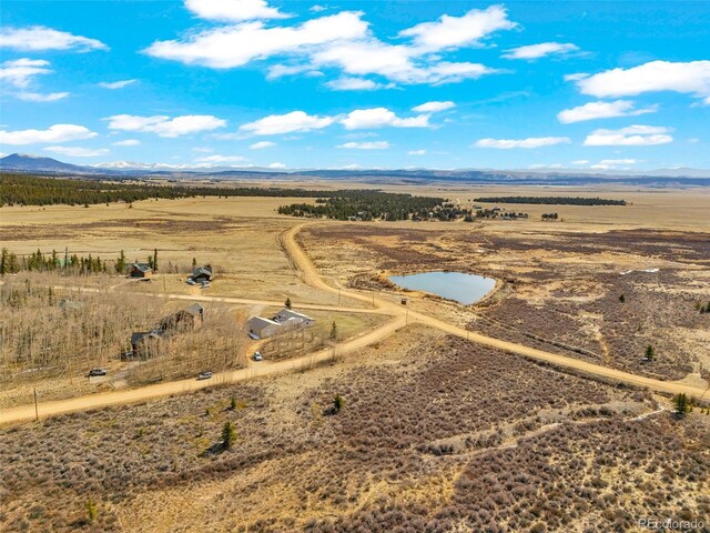 37 Warm Springs Rd, Fairplay, CO 80440 - photo 44
