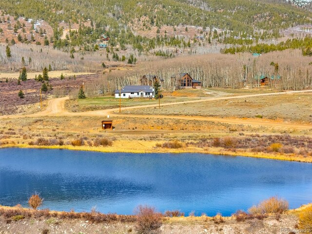 37 Warm Springs Rd, Fairplay, CO 80440 - photo 5