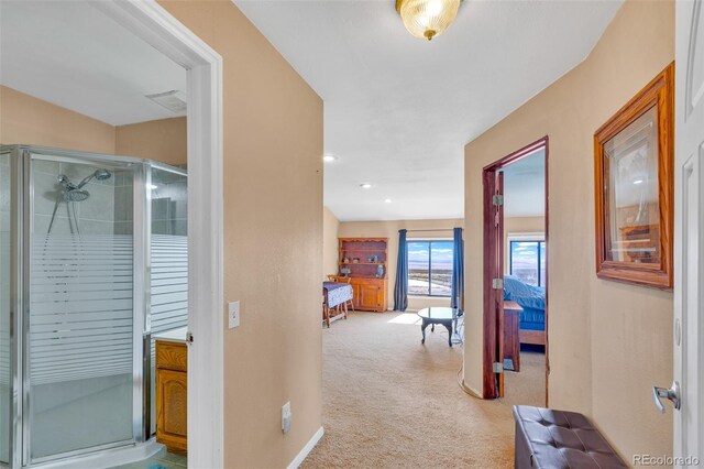 37 Warm Springs Rd, Fairplay, CO 80440 - photo 16