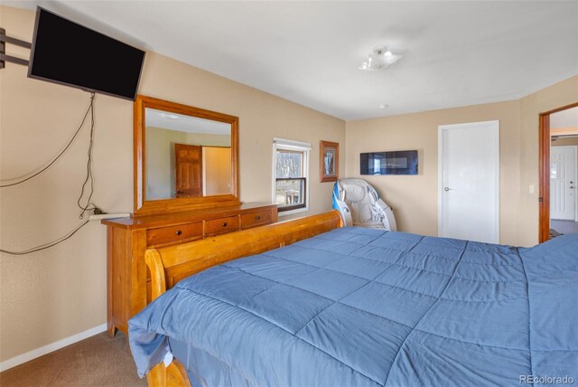 37 Warm Springs Rd, Fairplay, CO 80440 - photo 20