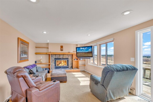 37 Warm Springs Rd, Fairplay, CO 80440 - photo 29