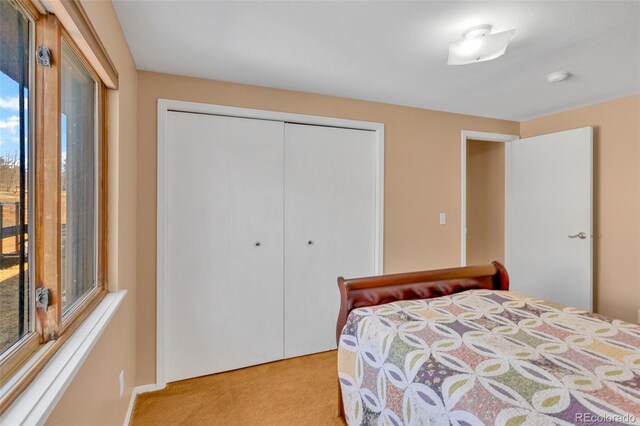 37 Warm Springs Rd, Fairplay, CO 80440 - photo 33