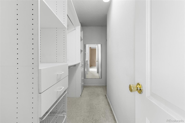 6730 W 84th Cir Unit 96, Arvada, CO 80003 - view of walk in closet