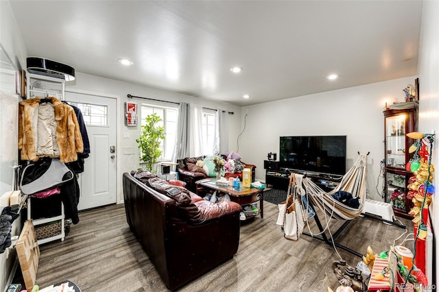 living room featuring hardwood / wood-style floors