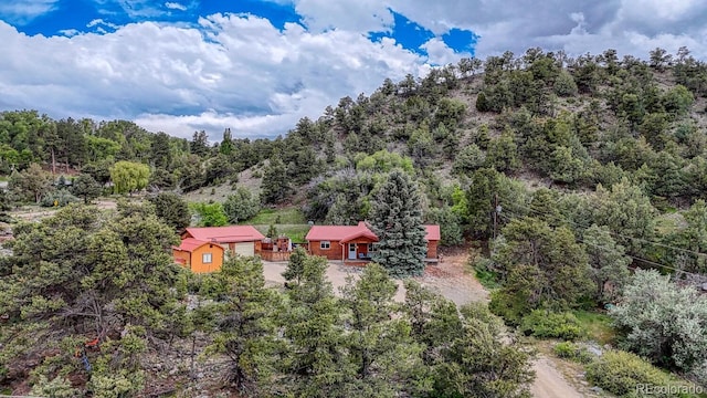 114 Loop Dr, Howard, CO 81233 - view of subject property featuring a forest